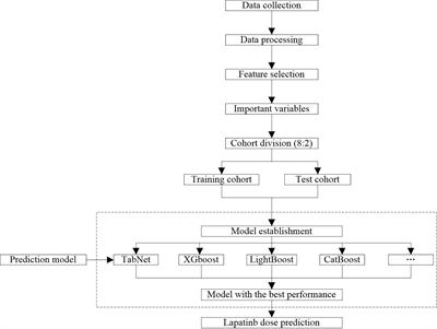 Predicting Lapatinib Dose Regimen Using Machine Learning and Deep Learning Techniques Based on a Real-World Study